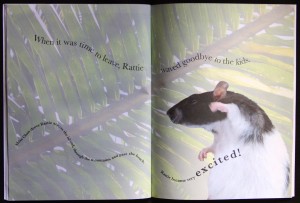 Rattie Book3: Design, Typography, Photos, Written by Faith Fay